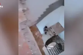 小伙开门上班瞬间发现楼梯没了！图片