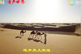最近网络大火的《沙漠骆驼》特制mv来了，保证没有看过