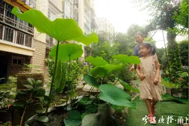 8个共享花园，住别墅才有的配置，在宁波这个拆迁安置小区统统实现了图片