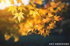 营养师告诉你，如何防止手脱皮图片