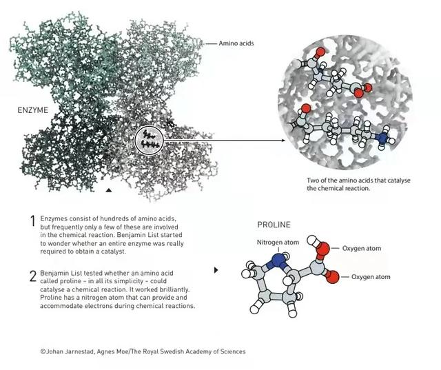 化学诺奖回归纯化学！德美发展继金属和酶之后的有机小分子催化剂