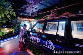 溜娃好去处，西安瀚海立方动物王国，吾悦广场四楼，亲近小动物图片