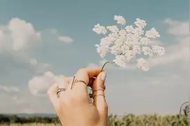 聪明人，不合群图片