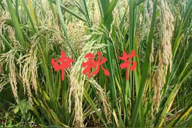 老话说“八月十五看月光，可知来年荒不荒”为何意？怎样看月光？图片