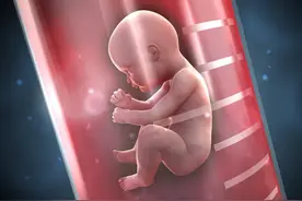 做试管婴儿的女性到底有多“遭罪”？了解后才明白，当妈多不容易图片