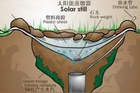 迷失沙漠又喝光了所有的水只能等死？挽救生命的三种方法教给大家图片