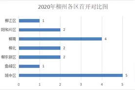 柳州2020年终开盘总结：66个楼盘共推新192次图片