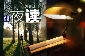 谁心里还没点树？图片