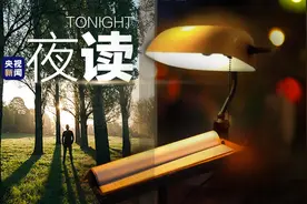 谁心里还没点树？图片