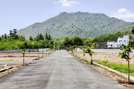 印度大爷没死就被送入太平间，然而却在冷冻室“复活了”图片