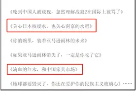 声援塞雷，中南屋与海外FH组织NGO勾结图片