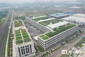 超出你想象！揭秘重庆最大屋顶菜园图片