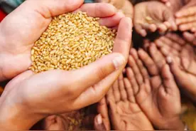 中国粮食安全核战争级别？美国用粮食搞垮苏联，却在中国栽跟头图片