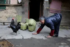六旬老人的爬行生活 不去敬老院在深山编竹篮子图片