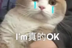 留学生哭诉：再不回国，爸妈快不认识我了图片