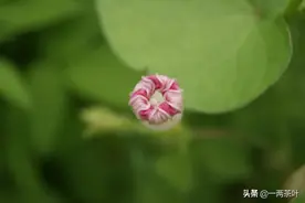 鲁西南方言杂谈-敠图片