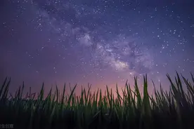 摄影初学者：关于摄影构图，这些你一定要了解图片