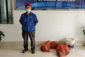 摊上事了！男子泰安路边卖“野生乌龟”，都是套路……图片