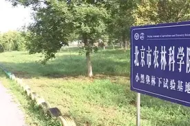 走向我们的小康生活丨北京小黑垡村：打造林下经济“聚宝盆”图片