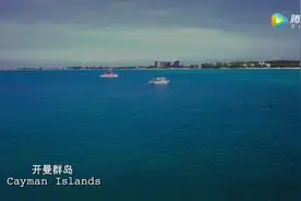 《亿万》4：螳螂捕蝉，黄雀在后图片