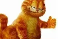 “fat cat”肥猫？NONONO，一起来涨姿势吧？图片