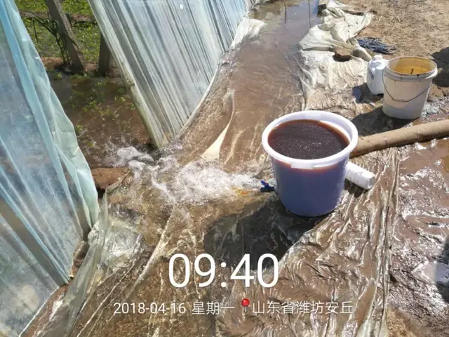 腐殖酸、海藻酸、甲壳素、鱼蛋白、氨基酸，性能作用真的不一样