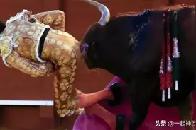 被28公分的牛角“顶到脱肛”是什么感受？看完我裂开了图片