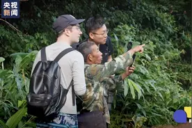遇到野象怎么办？被追过4次的巡象员说图片