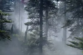 四川有一神秘禁地，50年内多人失踪，至今无人能揭开谜团图片