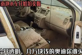河南泡水车开始拍卖啦，公开透明，几万块钱的奥迪你敢买嘛？图片