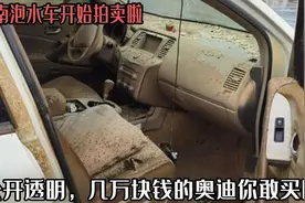 河南泡水车开始拍卖啦，公开透明，几万块钱的奥迪你敢买嘛？图片
