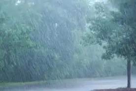 暴雨中男子开铲车救妻子，他说：老婆被困，她说不让救就不让救吗图片