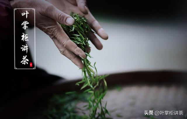 金骏眉是什么茶？有哪些品种你了解吗？