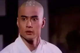 《木棉袈裟》37年：大反派成一线明星，男主变龙套，女主开武馆图片