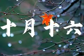 今日十月十六，下雨有啥说法？看看老祖宗怎么说图片