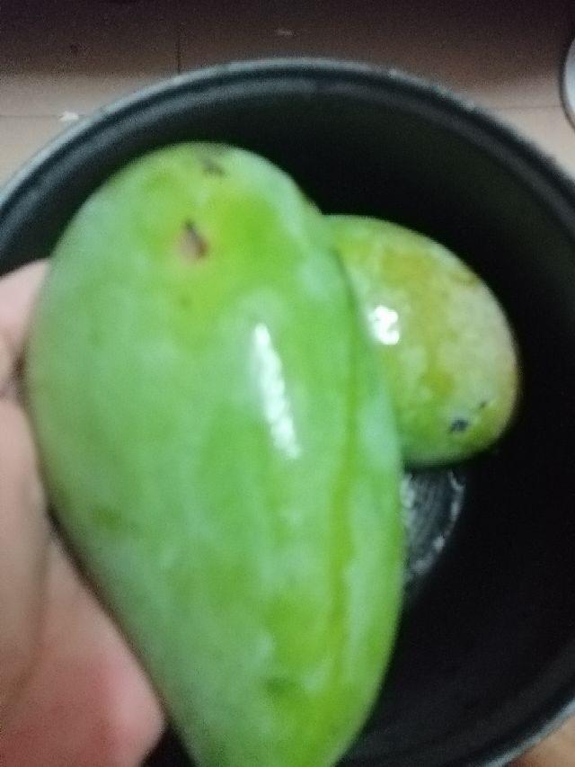 第一次腌制芒果