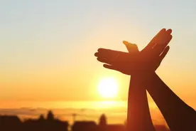 池鱼补偿引争议，三级检察院联动促和解图片