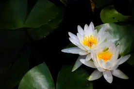 留不住的人，何必卑微，何必执着图片