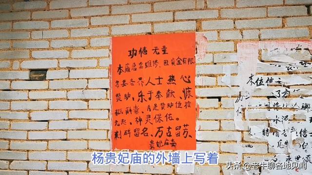 杨贵妃是不是广西容县人？山西陕西四川河南表示不服， 去探查