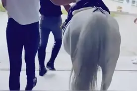 张歆艺晒2岁儿子骑马照，袁弘为四坨护驾好温馨，长腿却意外夺目图片