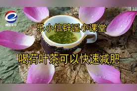 【乐小信辟谣小课堂】喝荷叶茶真的可以快速减肥吗？图片