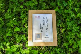 高校毕业礼物送“芯片”？图片
