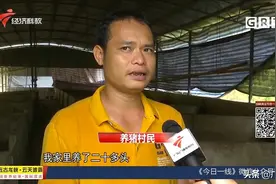 河源紫金：违建养猪场突发坍塌 造成三人死亡 记者现场一探究竟图片