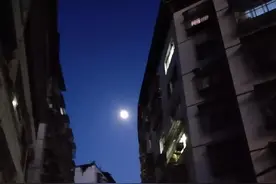 失去了爱的能力图片