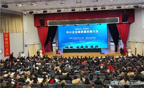 改龙雏破解版（今年奖补资金381亿元龙泉驿的企业就是这么幸福）