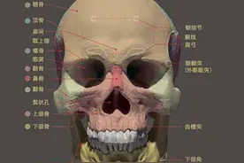 脸型自测之都有什么脸？图片