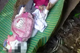 政府不管，民族武装管！缅甸民武霸气发声：将判侵幼童男子死刑图片
