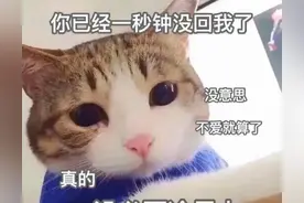 表情包：你已经一秒钟没回我了，不爱就算了没必要冷暴力图片