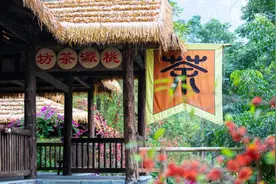 宜州，广西私藏的发呆净土，这里群山环水、土房黛瓦图片