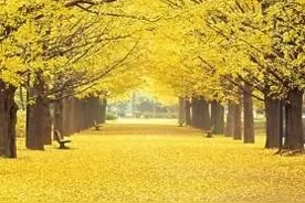 传统文化阴阳五行，你不知道的十天干奥秘，庚辛金和壬癸水详解图片